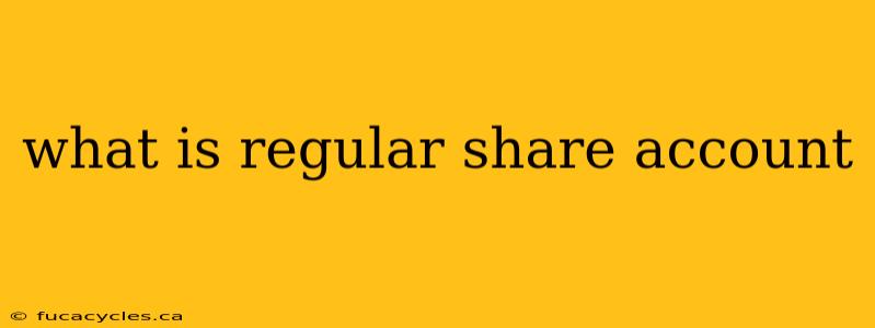 what is regular share account