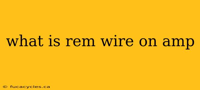 what is rem wire on amp