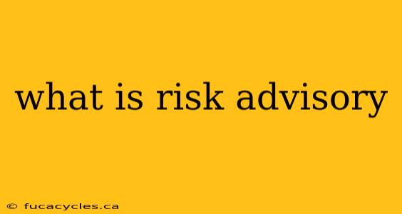 what is risk advisory