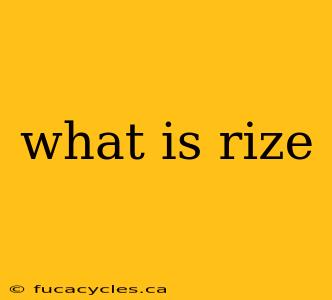 what is rize