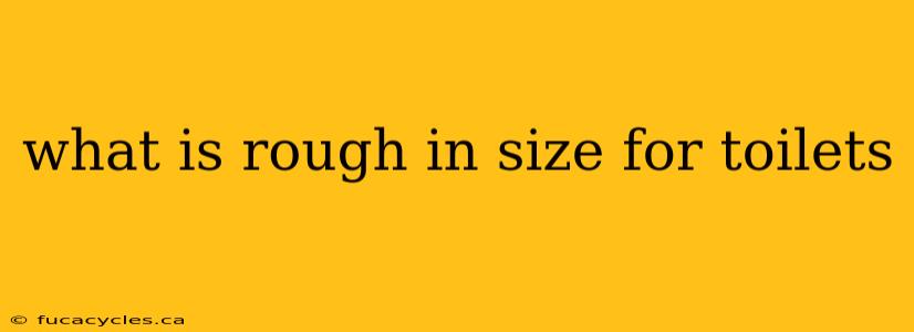 what is rough in size for toilets