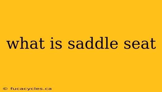 what is saddle seat