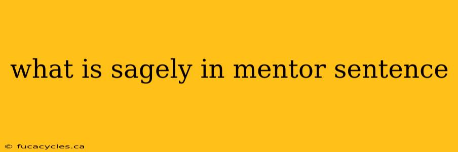 what is sagely in mentor sentence