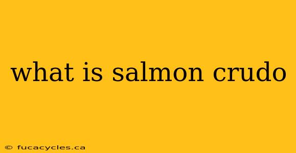 what is salmon crudo