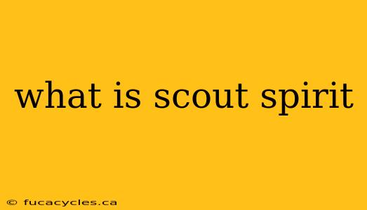 what is scout spirit