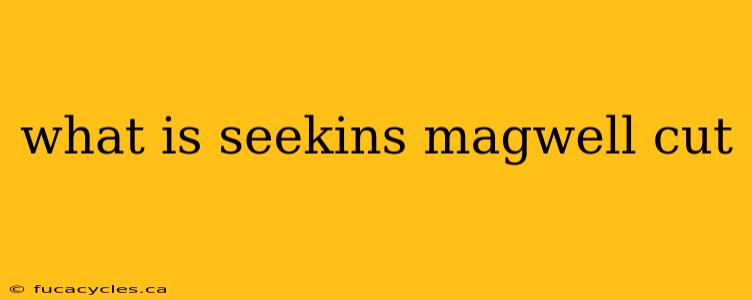 what is seekins magwell cut