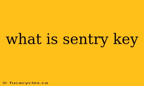 what is sentry key