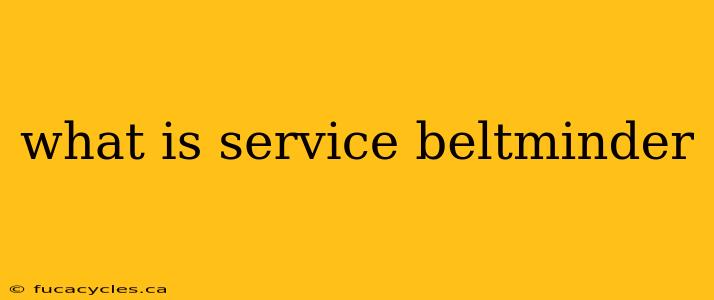 what is service beltminder