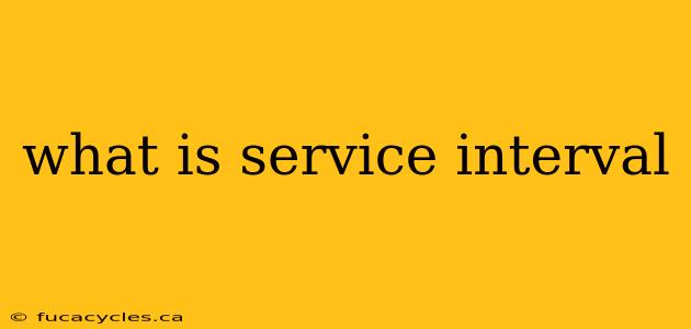 what is service interval