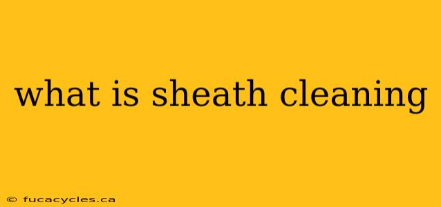 what is sheath cleaning