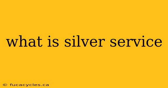 what is silver service