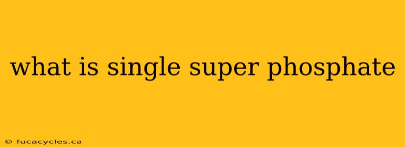 what is single super phosphate