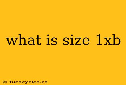 what is size 1xb