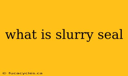 what is slurry seal