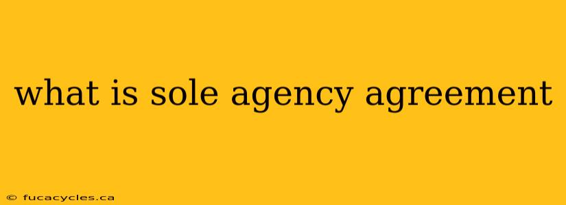 what is sole agency agreement