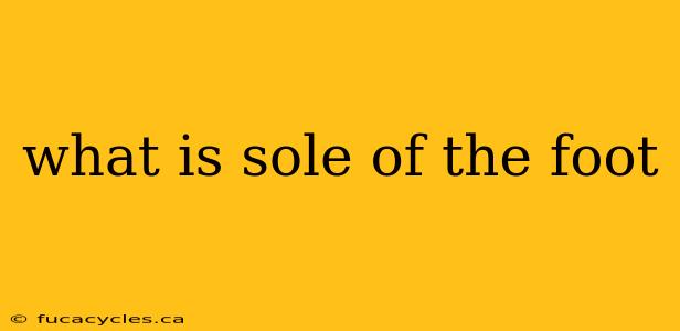 what is sole of the foot