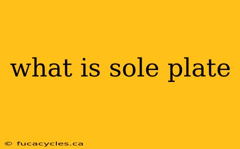 what is sole plate