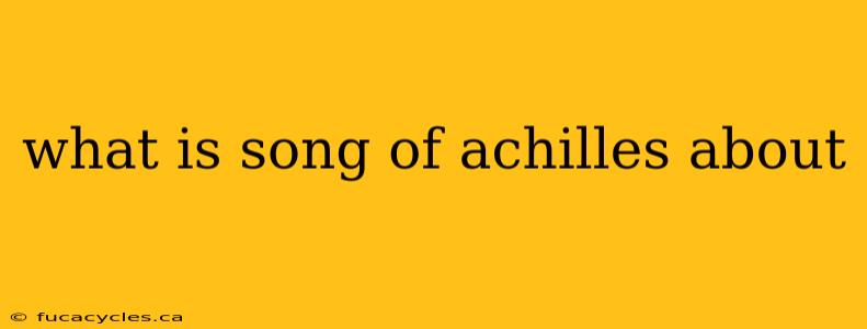 what is song of achilles about