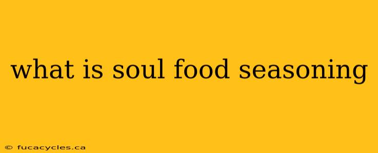 what is soul food seasoning