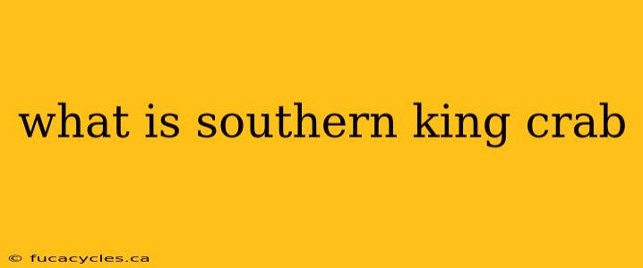 what is southern king crab