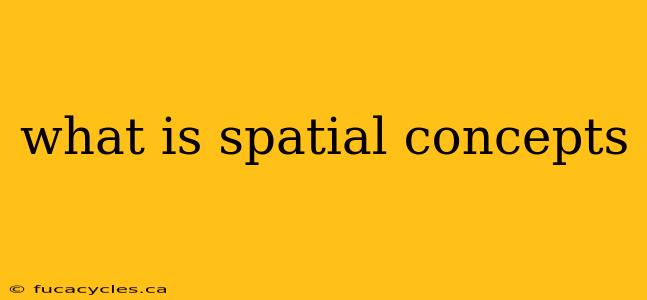 what is spatial concepts