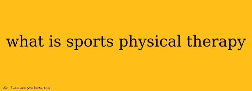 what is sports physical therapy