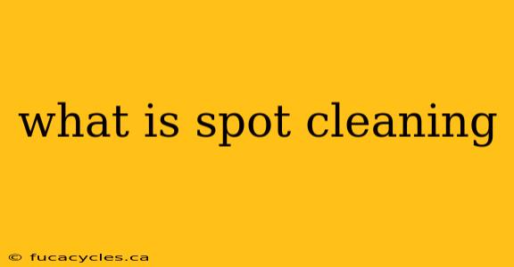 what is spot cleaning