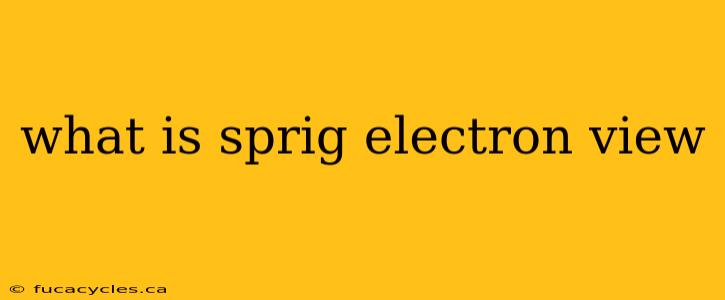 what is sprig electron view