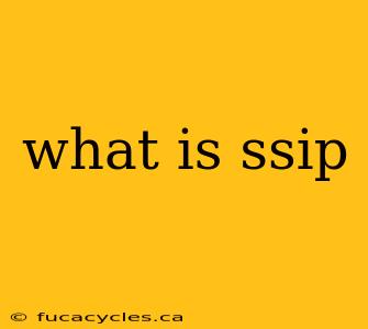 what is ssip