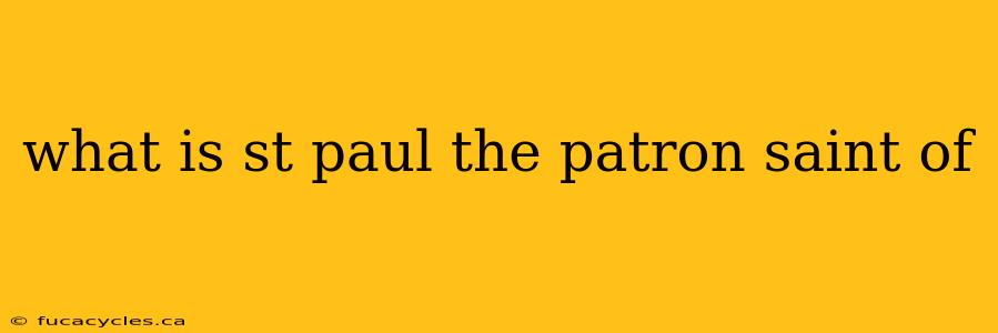 what is st paul the patron saint of