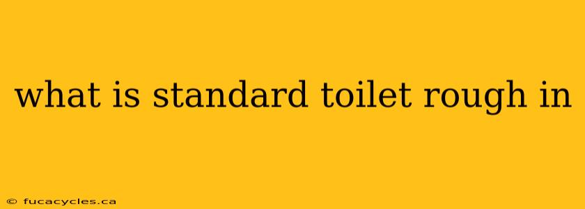 what is standard toilet rough in