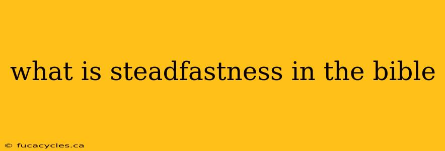 what is steadfastness in the bible