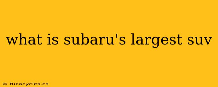 what is subaru's largest suv