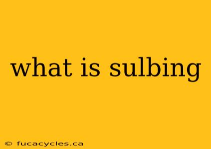 what is sulbing