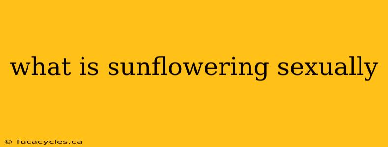 what is sunflowering sexually