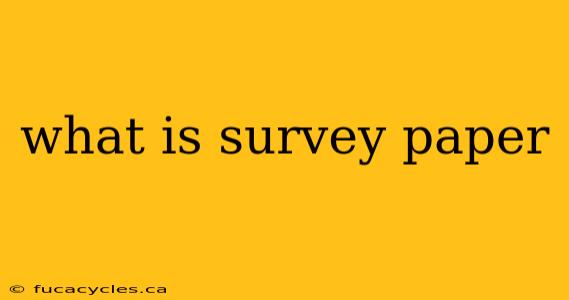 what is survey paper