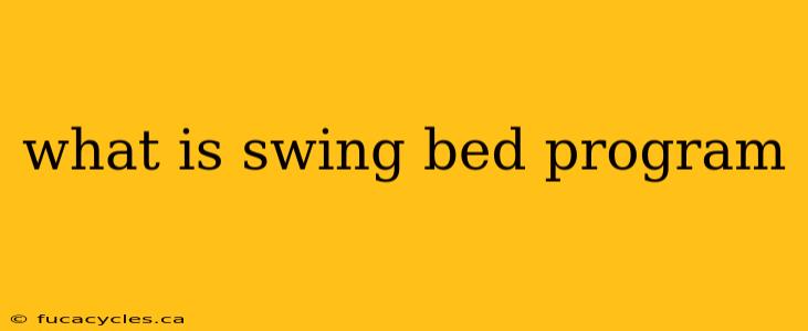 what is swing bed program