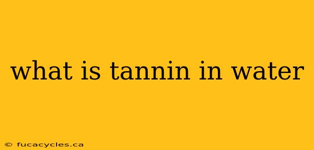 what is tannin in water