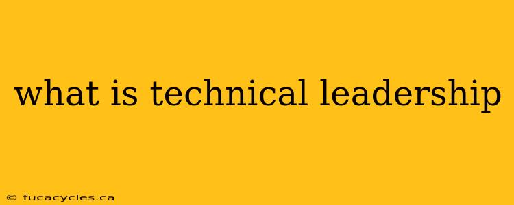 what is technical leadership