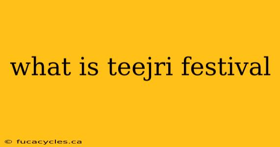 what is teejri festival