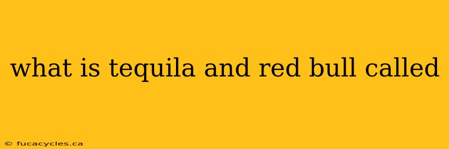 what is tequila and red bull called