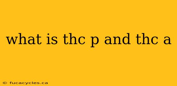 what is thc p and thc a