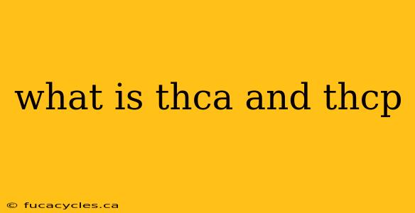 what is thca and thcp