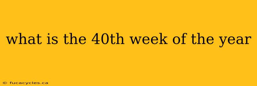 what is the 40th week of the year