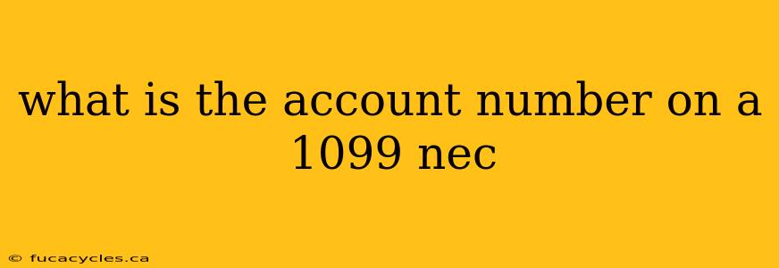 what is the account number on a 1099 nec