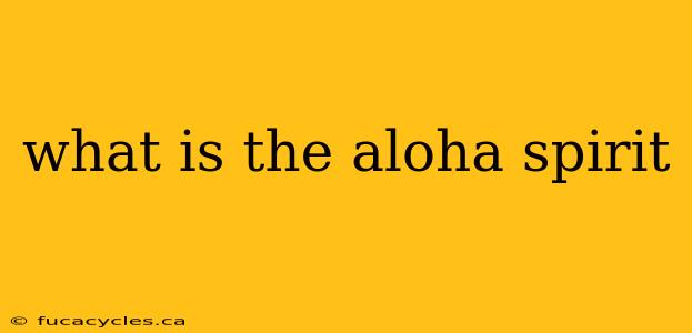 what is the aloha spirit