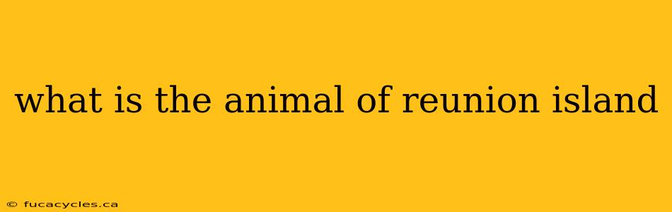 what is the animal of reunion island