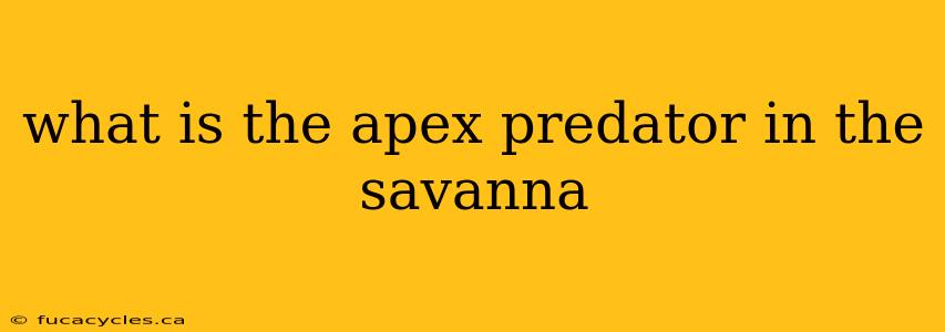 what is the apex predator in the savanna