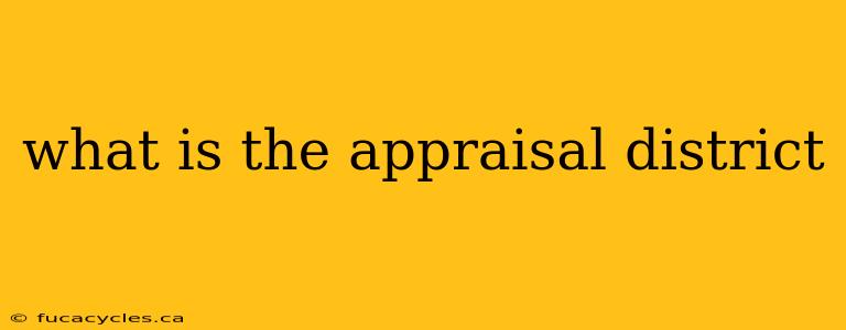 what is the appraisal district