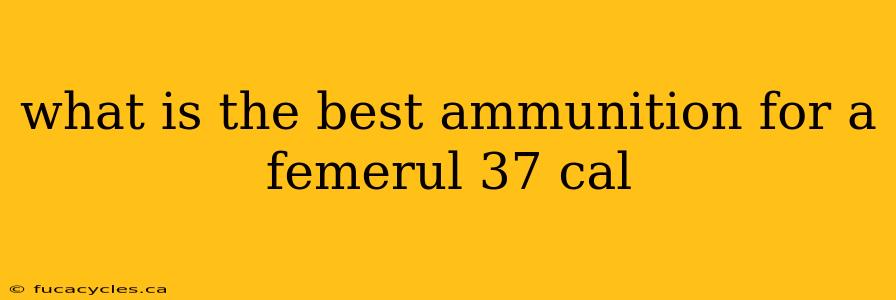 what is the best ammunition for a femerul 37 cal